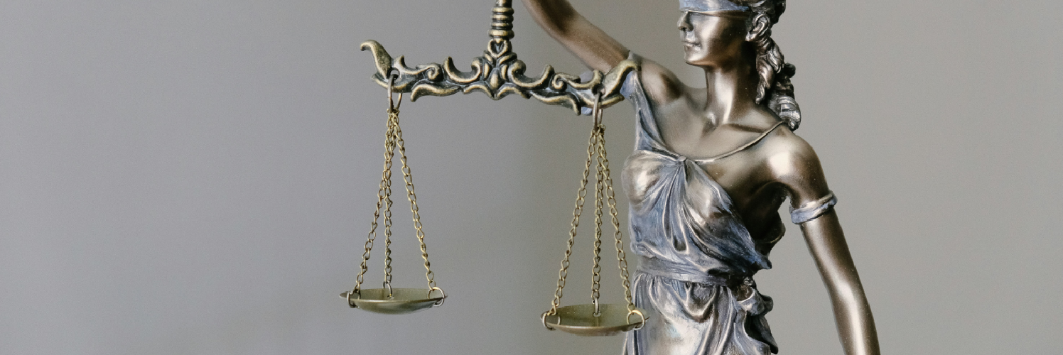 litigation-representation